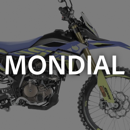 Mondial semi-custom graphics